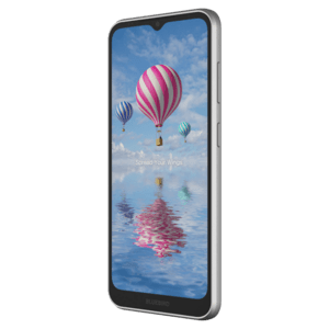 Bluebird SF650, 16,5cm (6,5), GPS, USB-C, BT (BLE, 5.1), WLAN, 4G, NFC, Android, GMS, RB